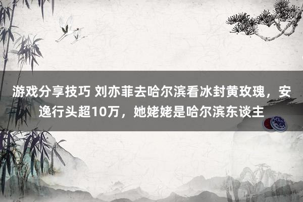 游戏分享技巧 刘亦菲去哈尔滨看冰封黄玫瑰，安逸行头超10万，她姥姥是哈尔滨东谈主