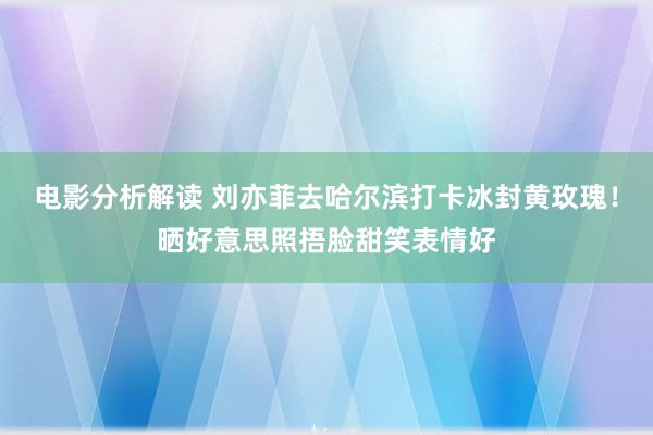 电影分析解读 刘亦菲去哈尔滨打卡冰封黄玫瑰！晒好意思照捂脸甜笑表情好