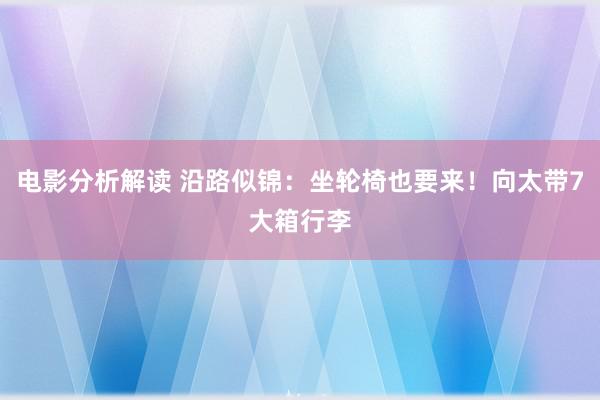 电影分析解读 沿路似锦：坐轮椅也要来！向太带7大箱行李