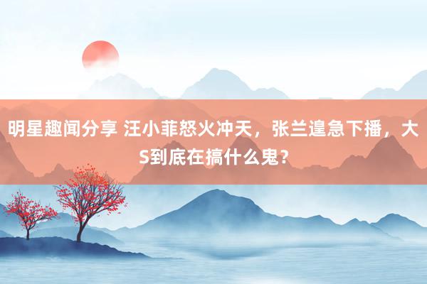 明星趣闻分享 汪小菲怒火冲天，张兰遑急下播，大S到底在搞什么鬼？